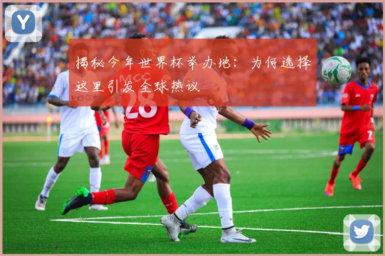揭秘今年世界杯举办地：为何选择这里引发全球热议