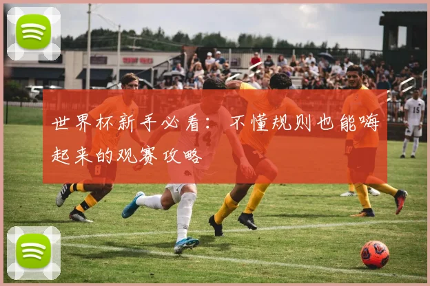 世界杯新手必看:不懂规则也能嗨起来的观赛攻略
