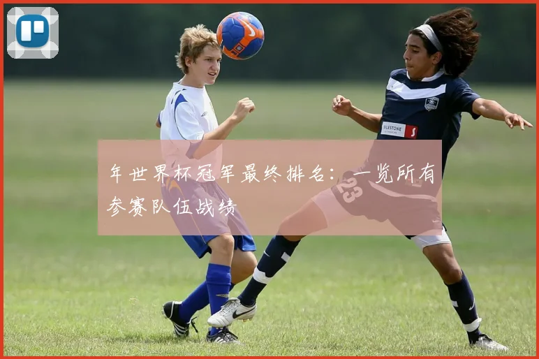 年世界杯冠军最终排名:一览所有参赛队伍战绩