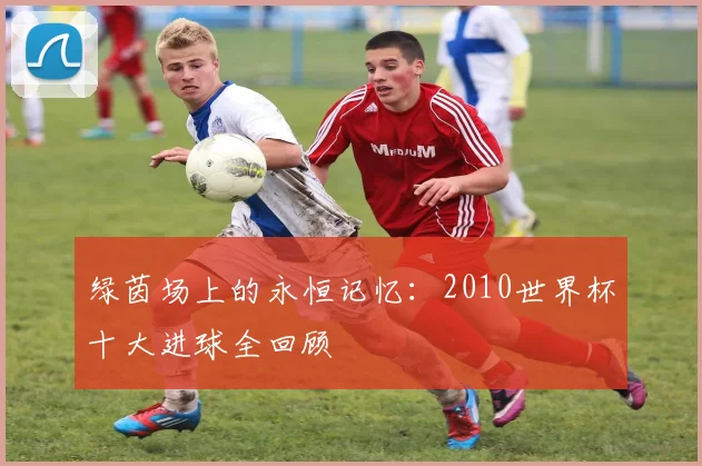 绿茵场上的永恒记忆:2010世界杯十大进球全回顾