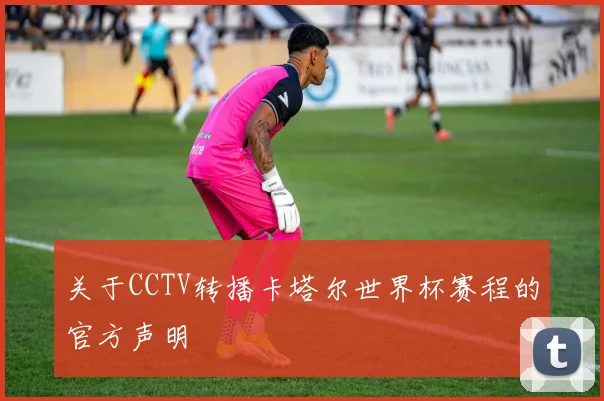 关于CCTV转播卡塔尔世界杯赛程的官方声明